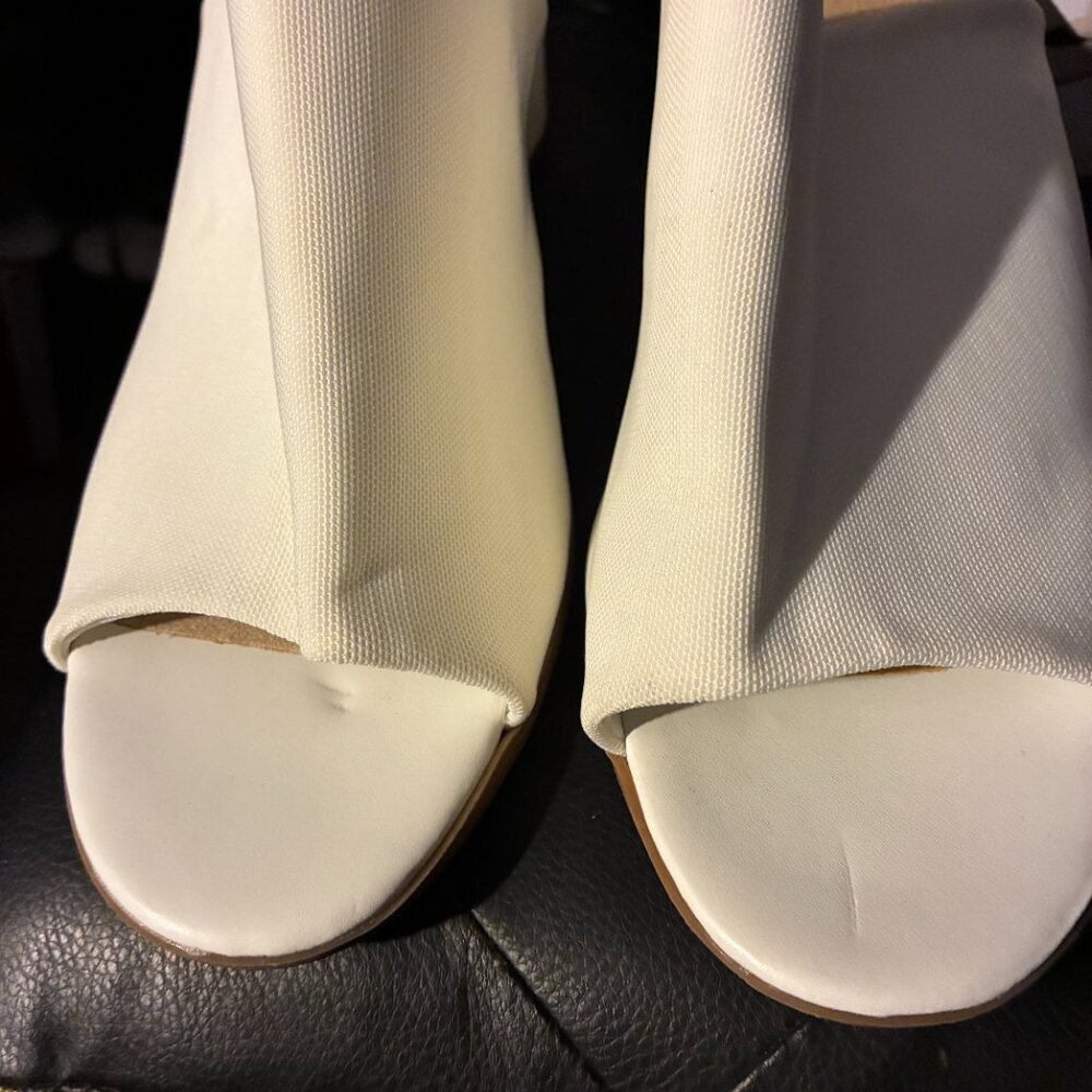 MULES - Picture 5 of 5